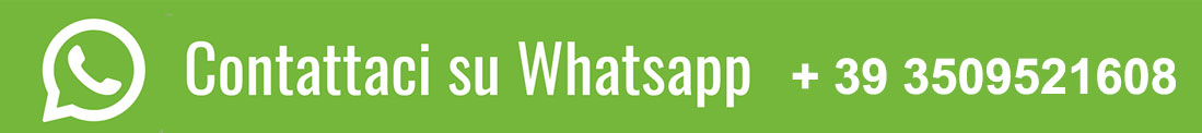 Chat on WhatsApp